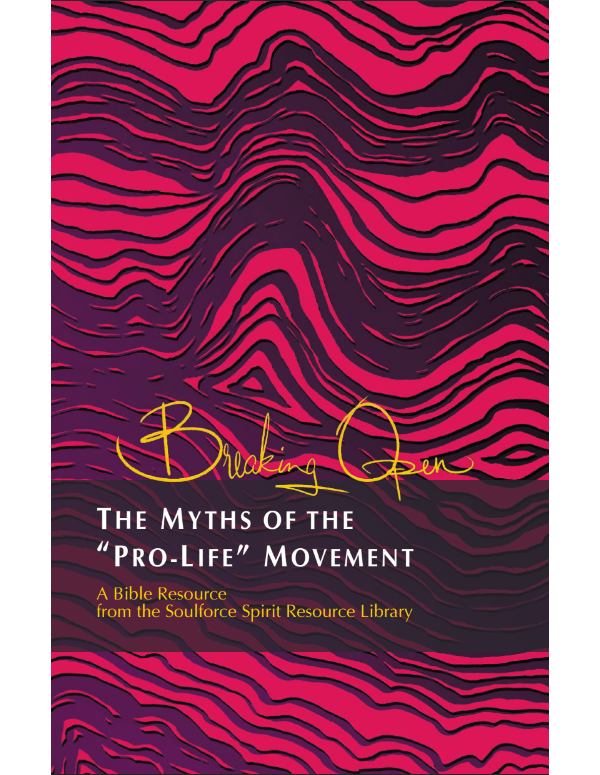Breaking Open the Myths of the ‘Pro-Life’ Movement
