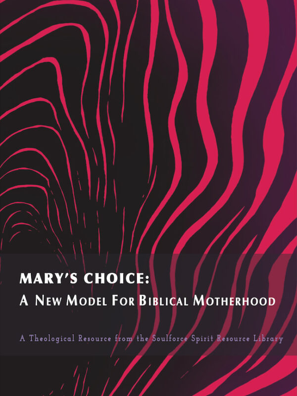 Mary’s Choice: A New Model for Biblical Motherhood