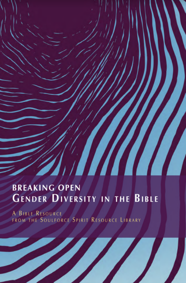 Breaking Open Gender Diversity in the Bible