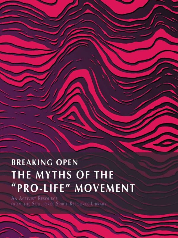 Breaking Open the Myths of the ‘Pro-Life’ Movement